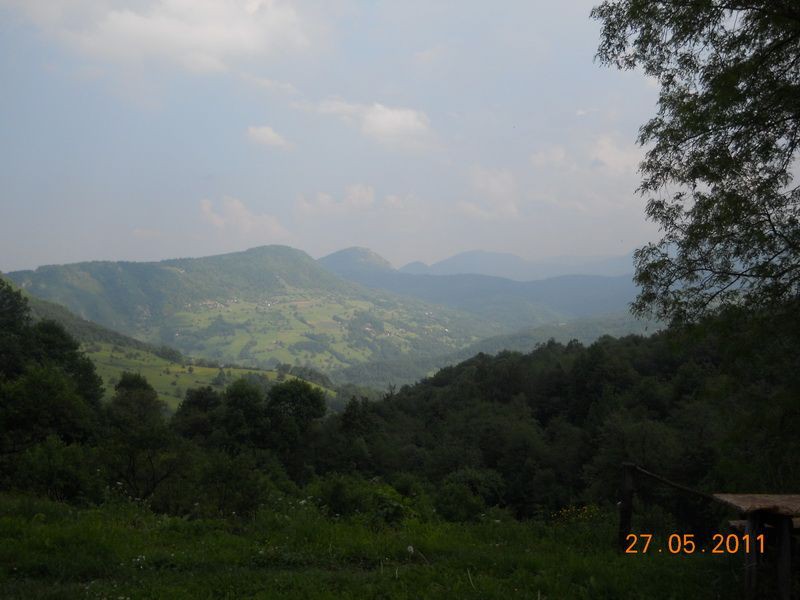 DSCN7788_resize