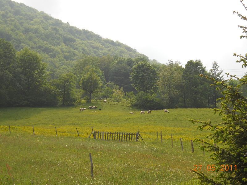 DSCN7794_resize