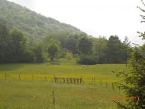 DSCN7794_resize