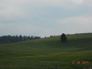 DSCN7816_resize