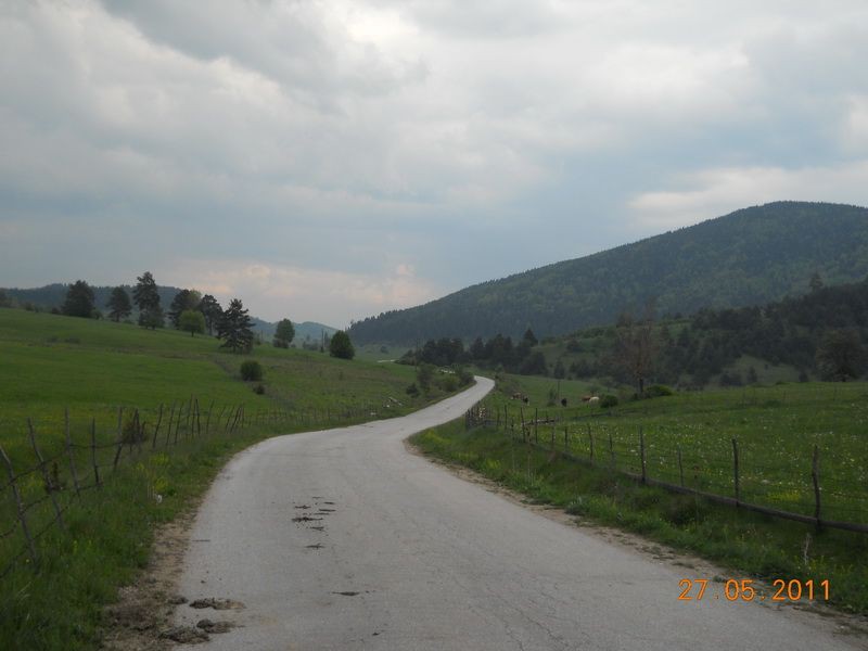 DSCN7817_resize