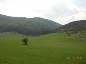 DSCN7818_resize