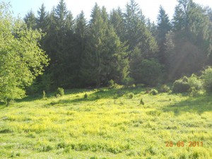 DSCN7835_resize