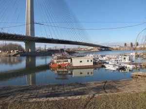 IMG_1851
