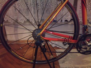 IMG_0036 (Medium)