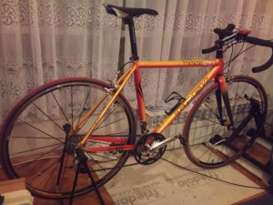 IMG_0039 (Medium)
