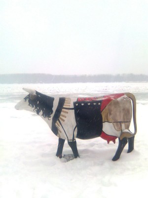 Slika1294