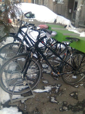 Slika1289