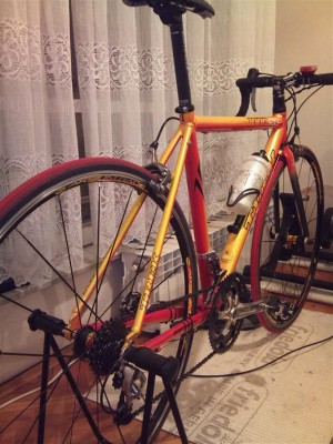 IMG_0038 (Medium)