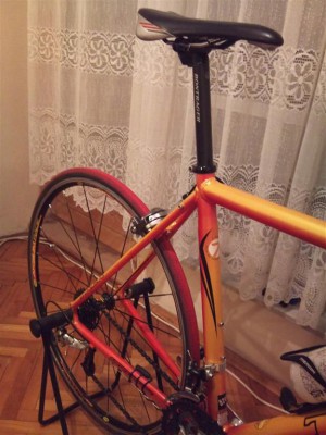 IMG_0042 (Medium)