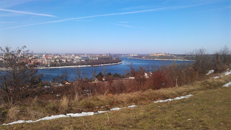 Buđeneje iz zimskog sna 2