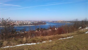 Buđeneje iz zimskog sna 2
