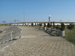 IMG_5286