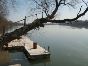 IMG_5318