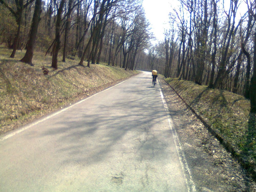 Fotografija0228