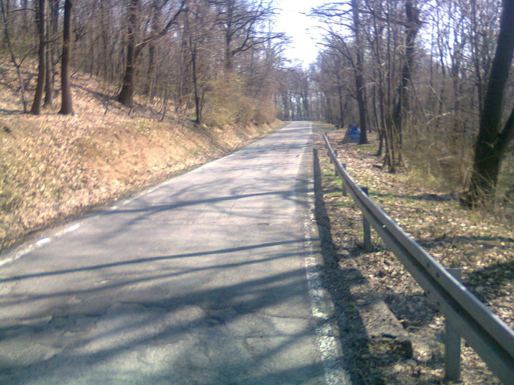 Fotografija0230