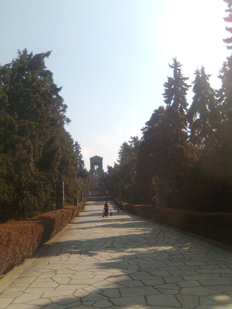 Slika1443