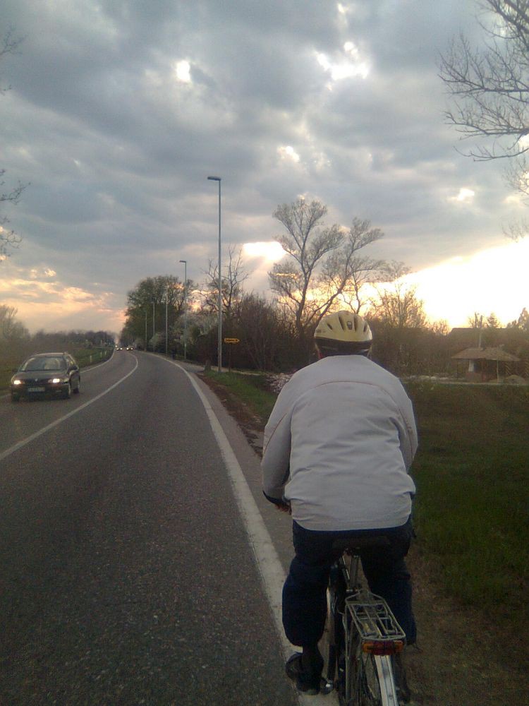 G-sn Tale u povratku- Pancevacki put