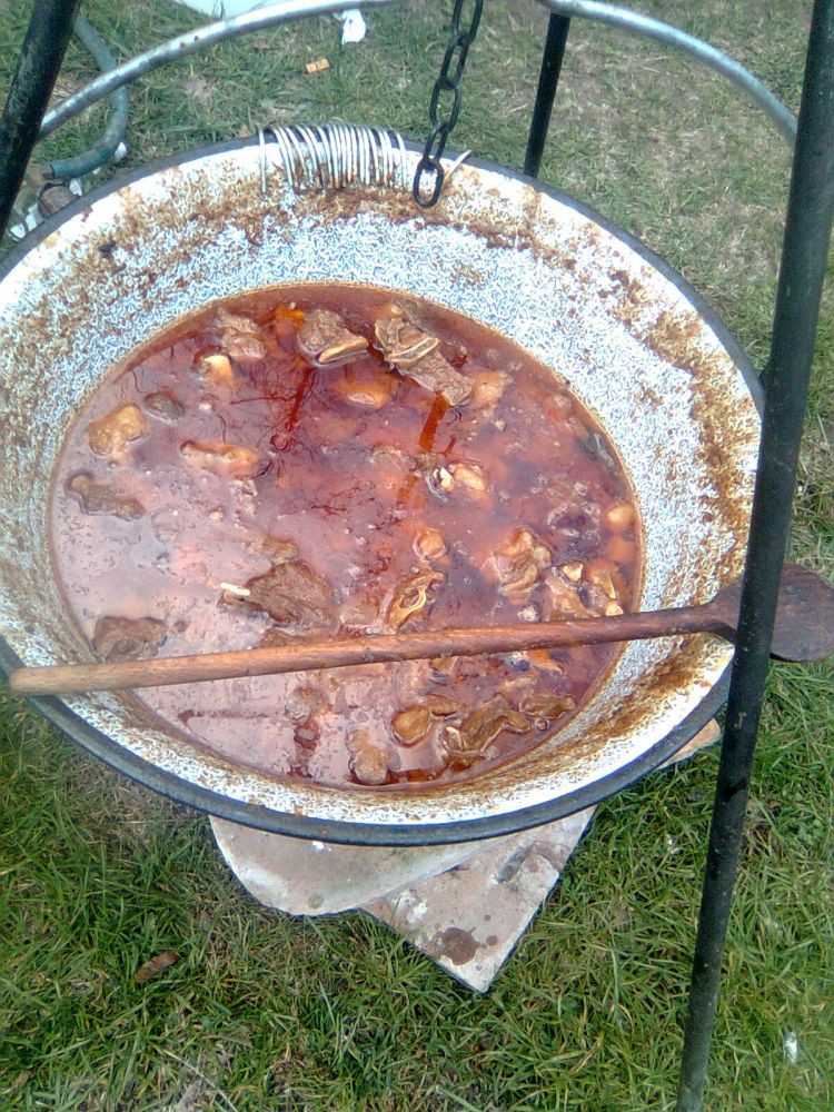 Ovciji gulas