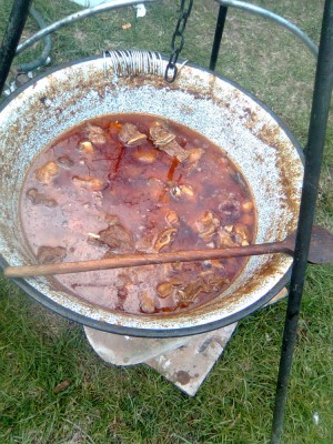 Ovciji gulas