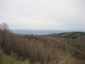 Pogled na Bosnu