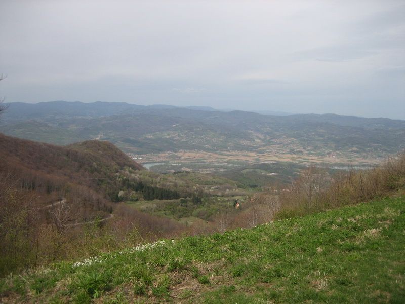 Pogled na Drinu