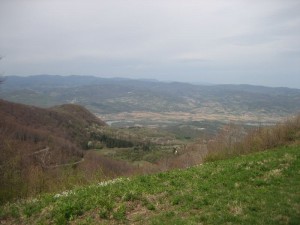 Pogled na Drinu