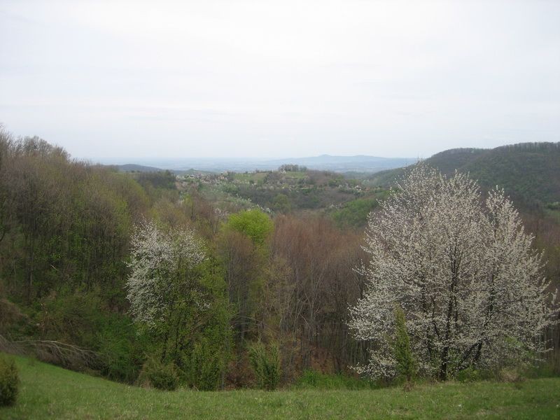 Pogled na sever, a odakle me znam