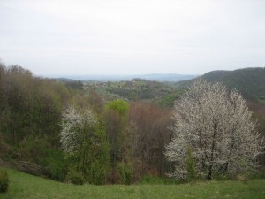 Pogled na sever, a odakle me znam