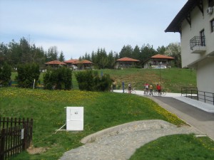 IMG_5554
