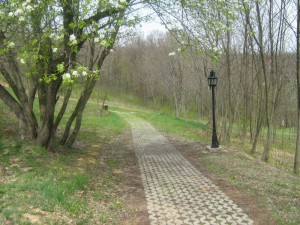 IMG_5555