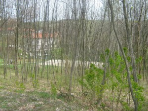 IMG_5556