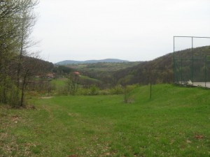 IMG_5557