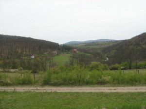 IMG_5562