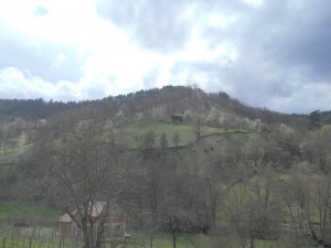 Na početku uspona na Bijelo Brdo
