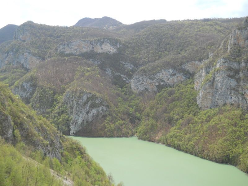 Priroda