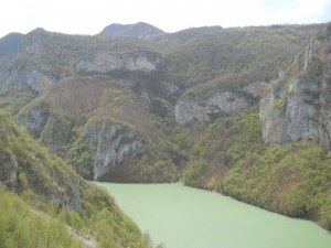 Priroda