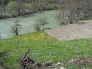 Proleće na obali Lima
