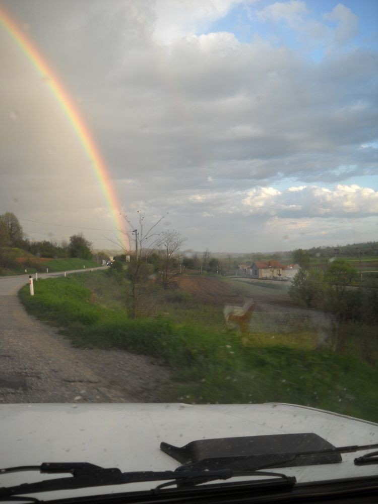DSCN0549