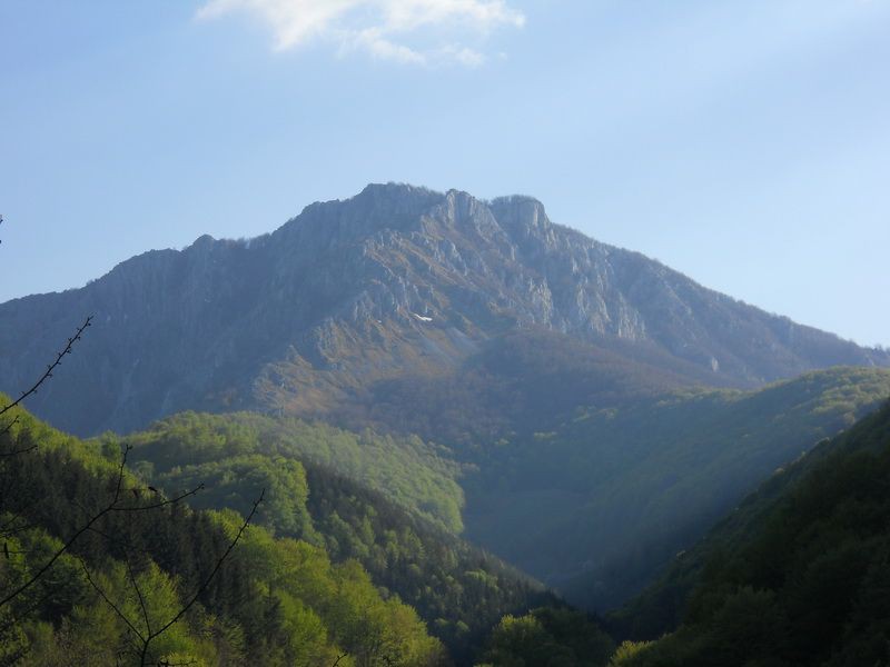 Gromada