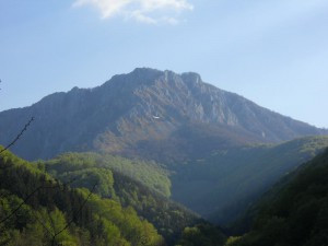 Gromada