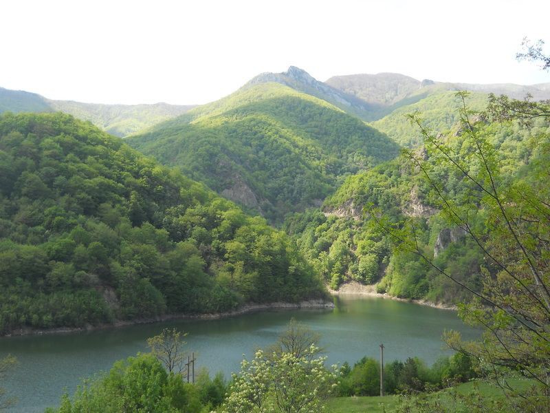 Prisaka