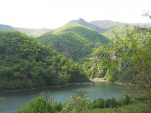 Prisaka