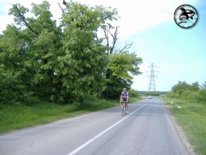 Kod lipovog lada