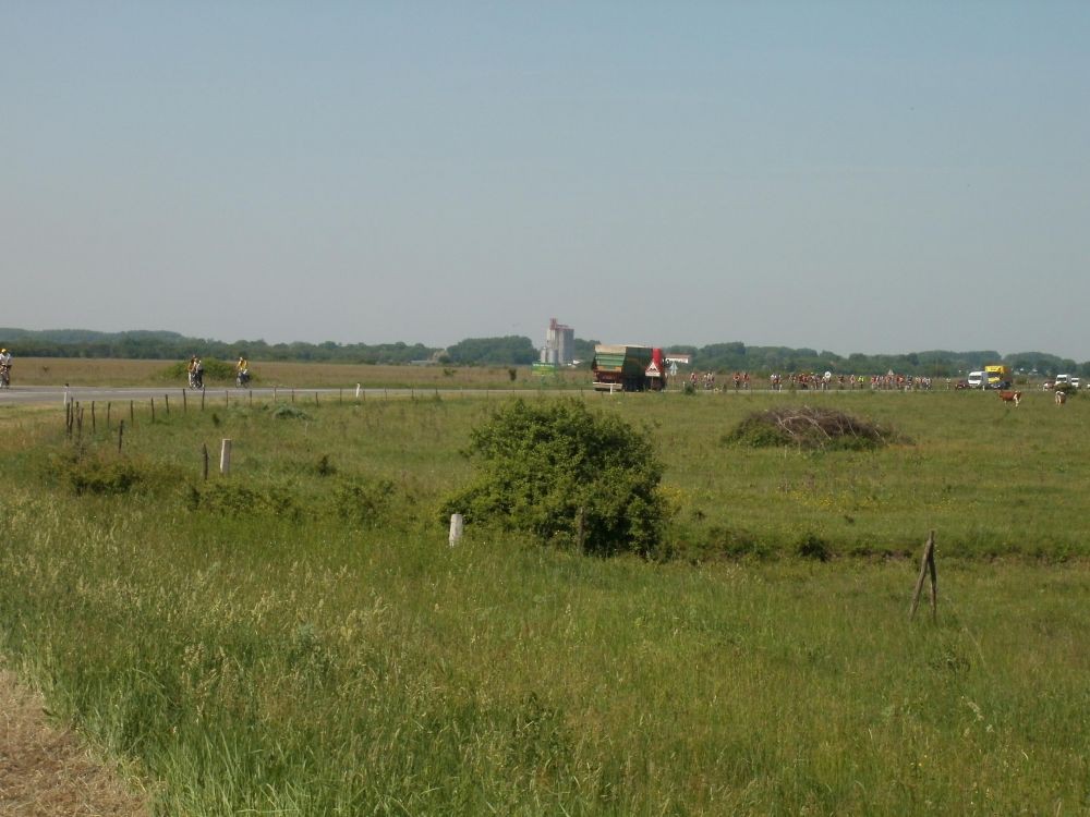 P5120010