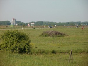 P5120009