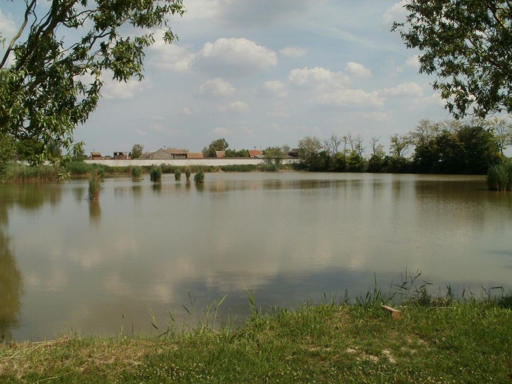 P5120029
