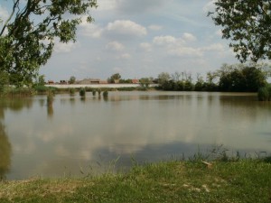 P5120029
