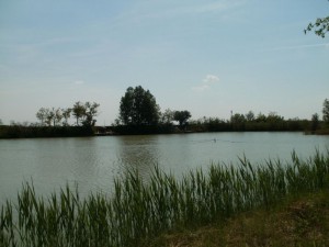 P5120032