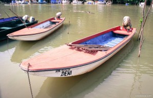 pancevacki-triatlon-2012-18